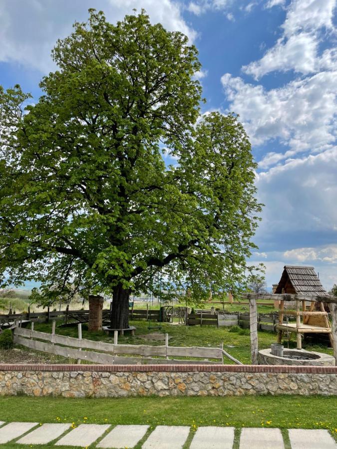Kastely Grof Zichy Hotel Haniska Екстериор снимка